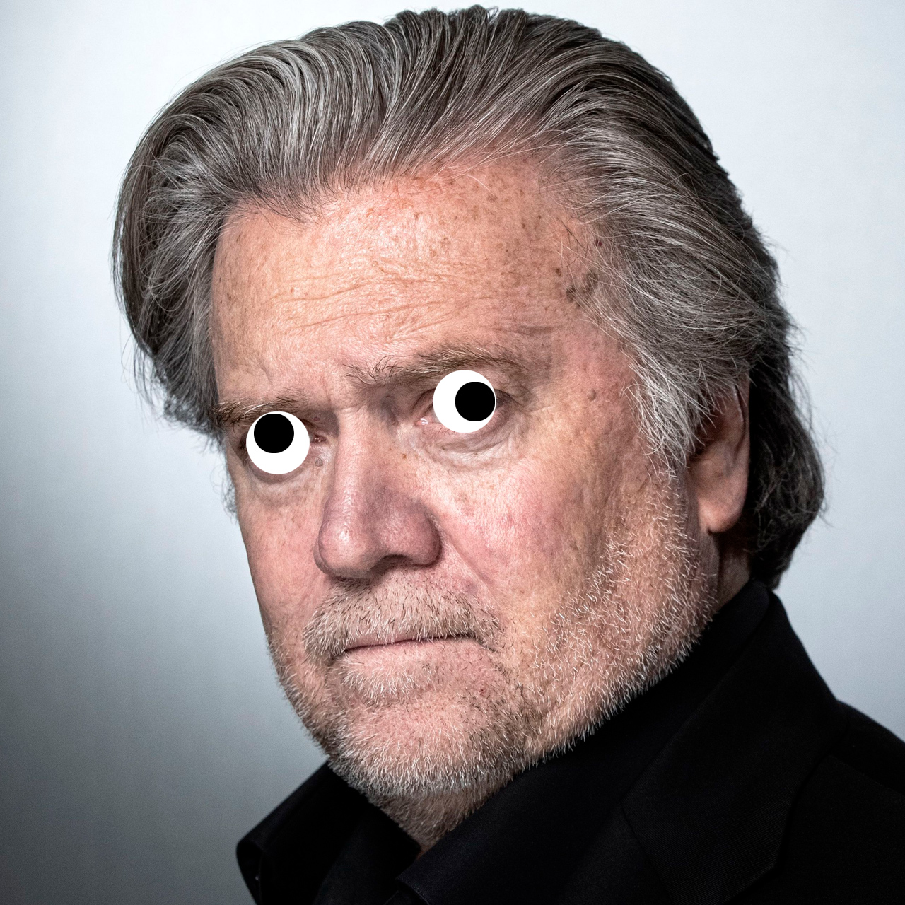 Bannon_puppet